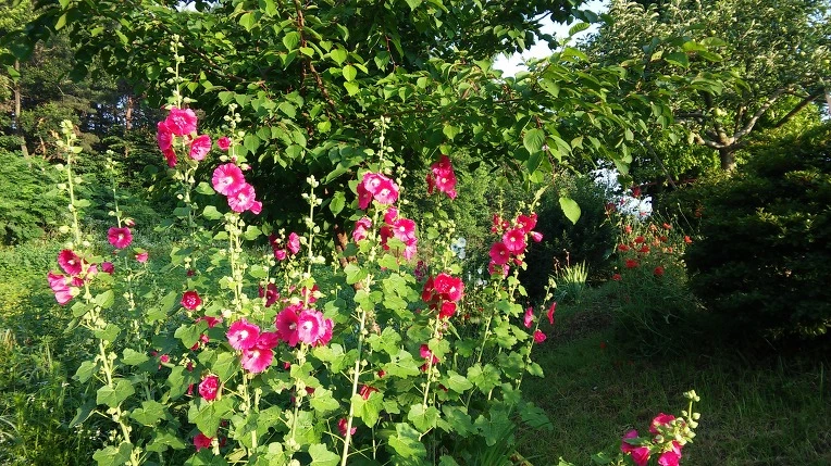 2170794E576F805E24FD4E