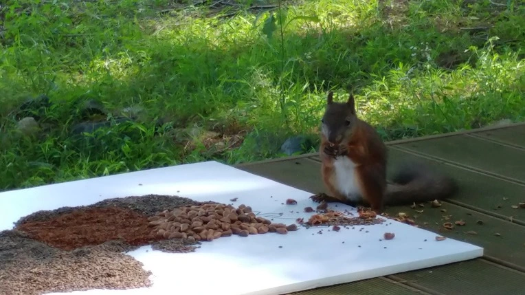 994934345B4D8F04114DF1