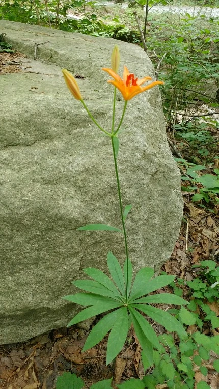 99CC1B3B5DBE5F48323887