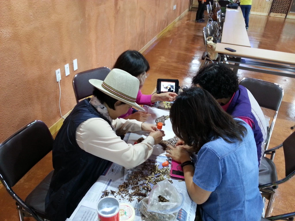 242E9B3854291FF40FD48A