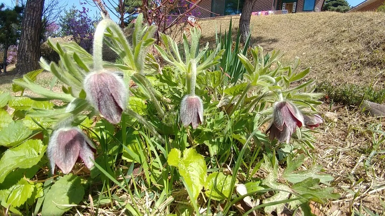 99708D505ACD32991A4E4C