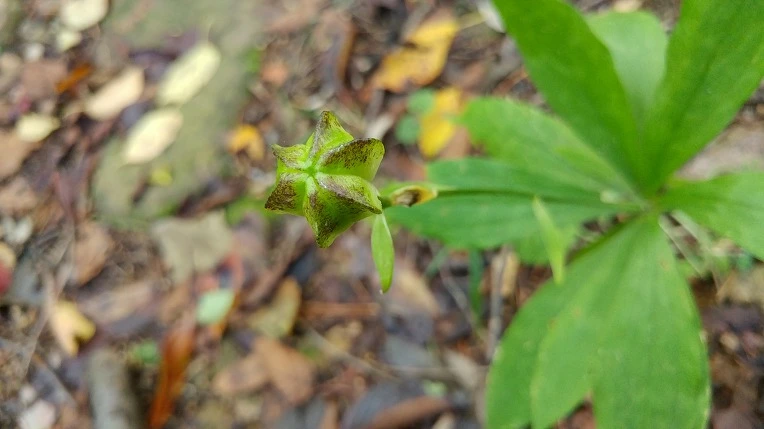 99E05E355DBE67D43405FE