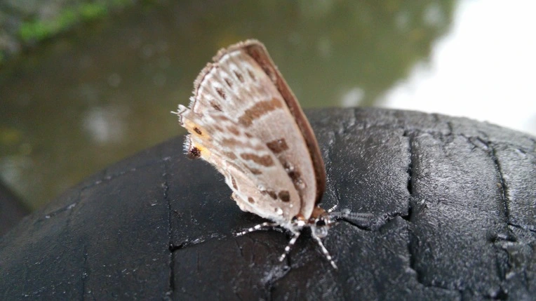 2614DC44558C8DCA26AB88