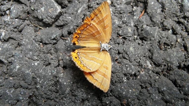 257D3E3F5699F44128A6E7