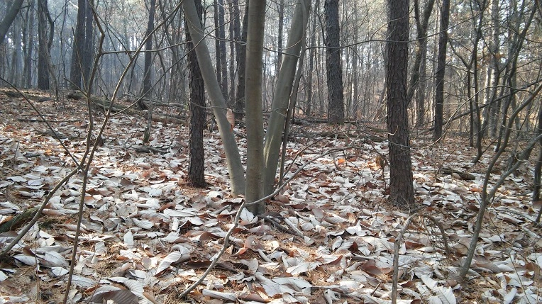 2741BB4C58B3664222FDF9