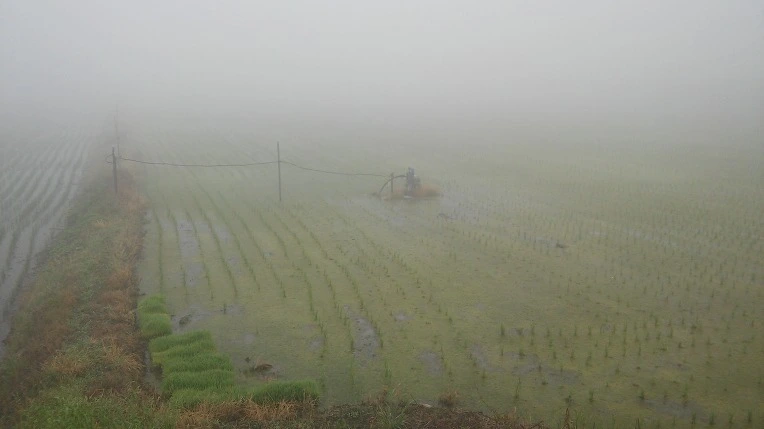 2361D1335747BA2A321FCF