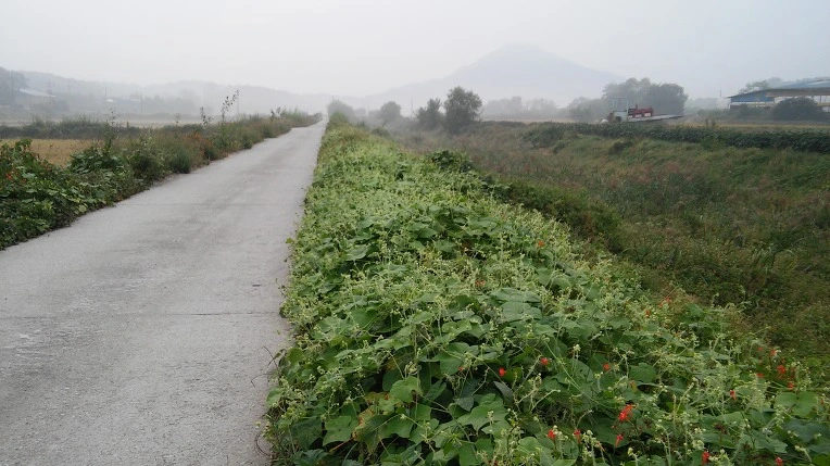 2762CF4957E701DF215704