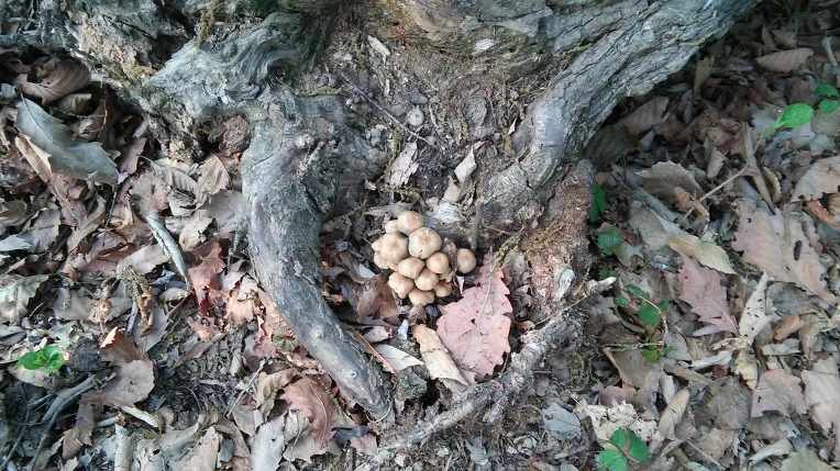 25573C505722BCEA2028E0