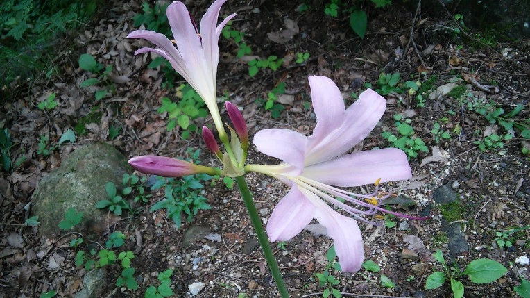 99F388335984F68C16FD28