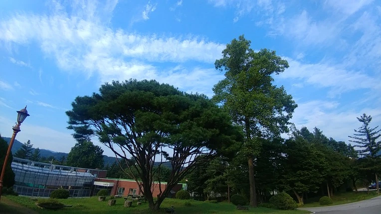 99B65D345C27589D23C0C9