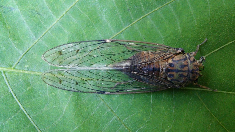 994920335984F870161BD2