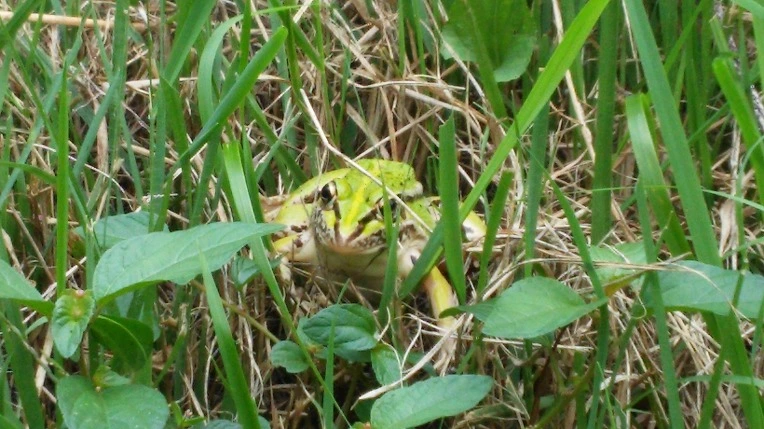 217E083457D665CA25778C