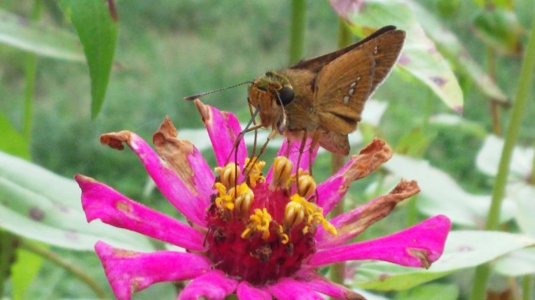 99434733599E1B2F1EF7F4