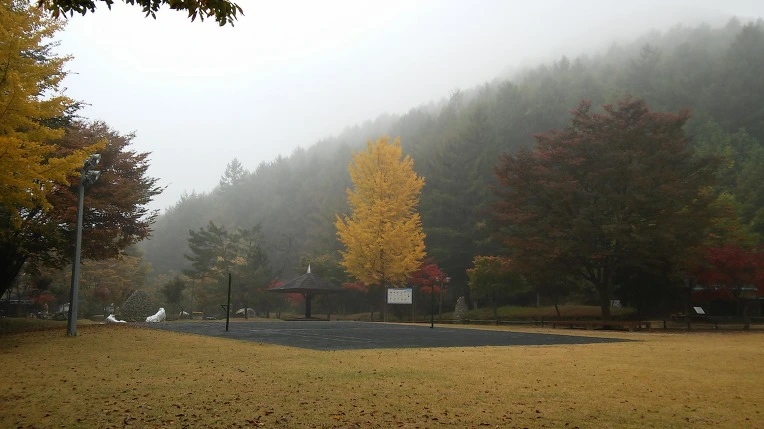 247FD0355625E561202741