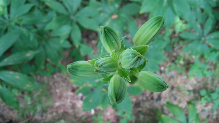 273AE83859557D542CC77B