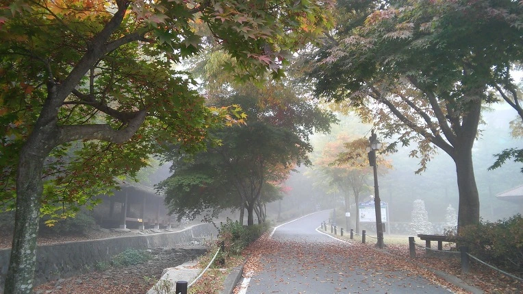 2527C63A5625E53E2F4CBC