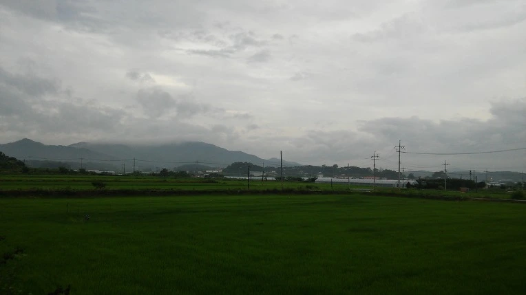 2638134F577B399A28E1B3