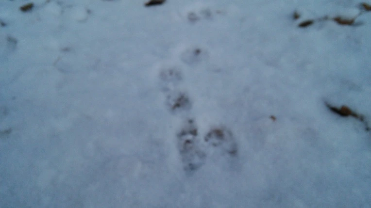 24339D425696EEF12BF836