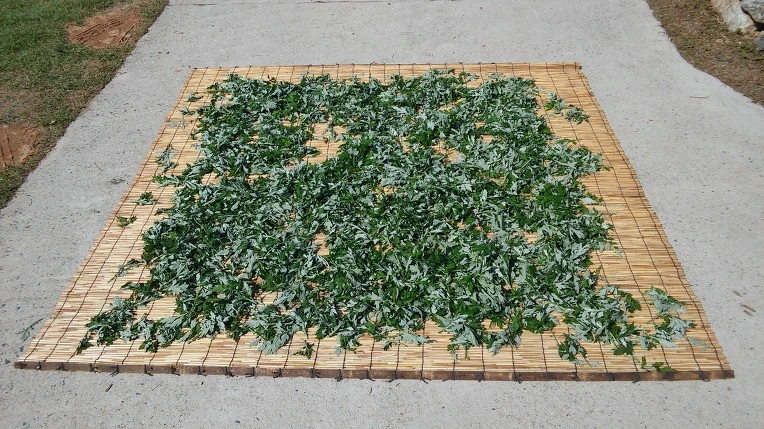 266D9F3B573A5AAA09947C