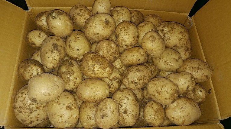 9917DB495B3D585C234A1D