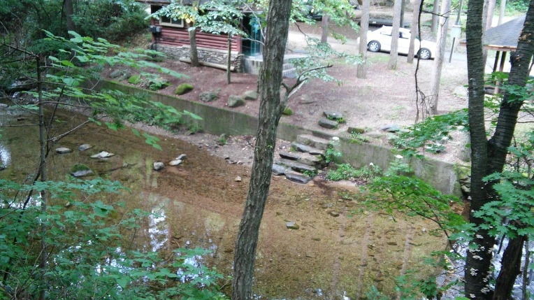 9941B63359CB17BD01C16A