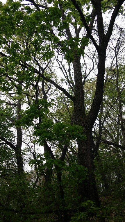 2212934A571AD1DC123F85