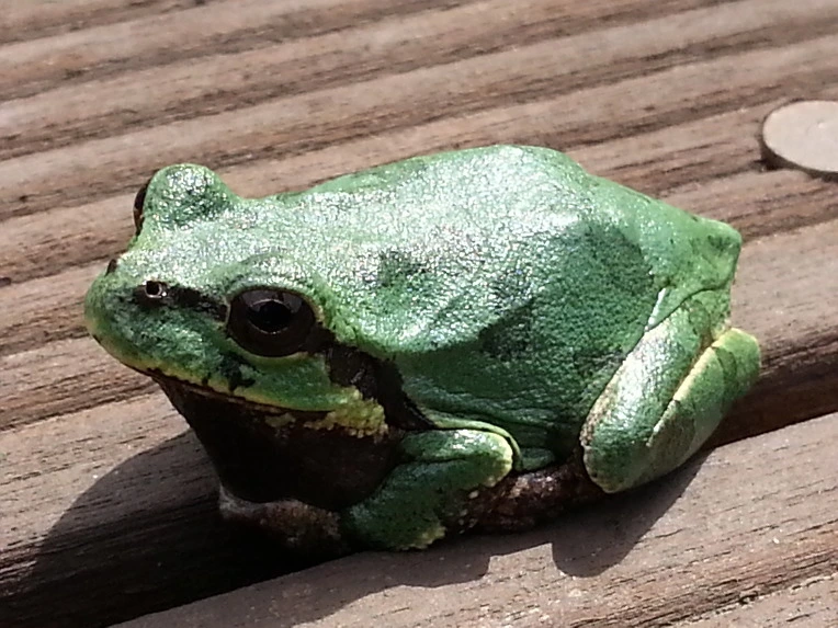 234CC94E56B0265D06D39F