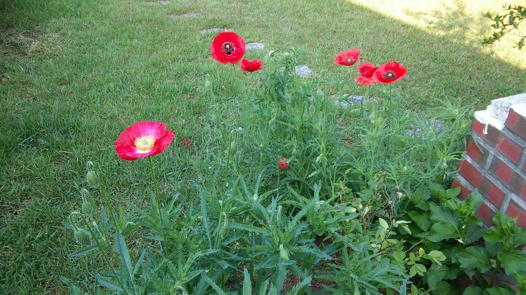 24722A4E591BAE30291AF7