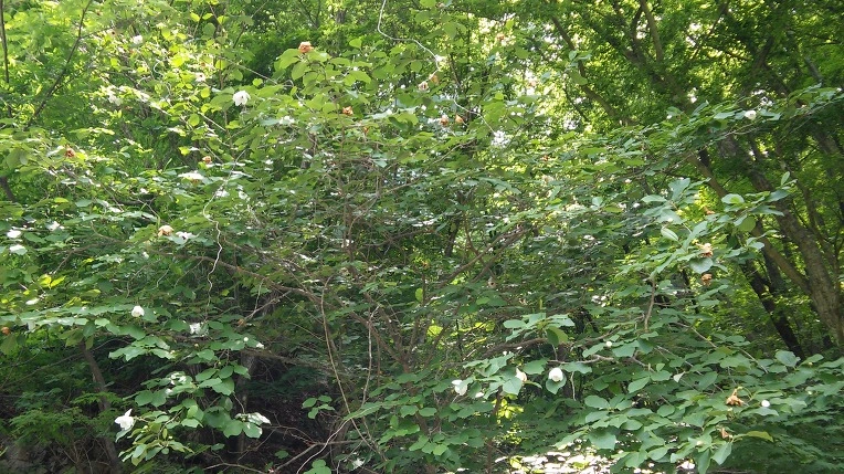 252CE23F592916E22DD4C3