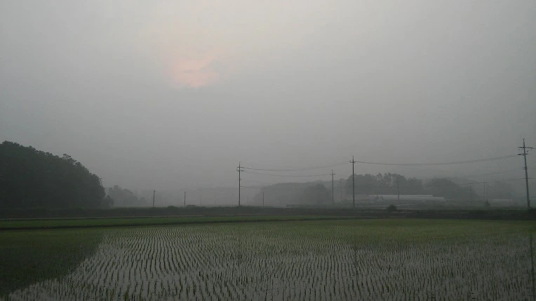 211A8E42574633FF0A2734