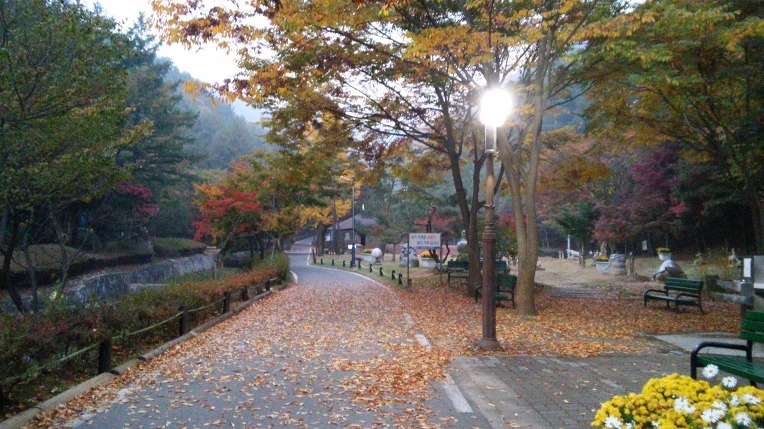 2451C84556281DC331423A