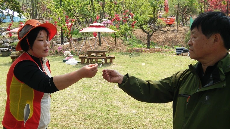 2437C14B572480CF23E013