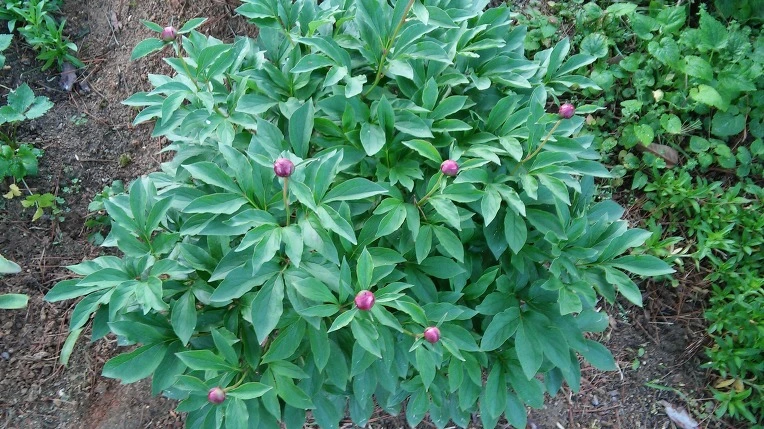 2350744B572E73701B6482