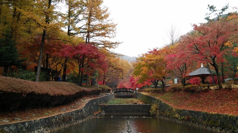 2633B13A563D844B150D81