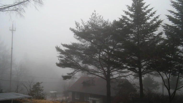 263D6E4856DA7C30082FBC