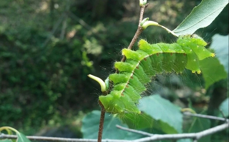 2249864F585A735D0657CE