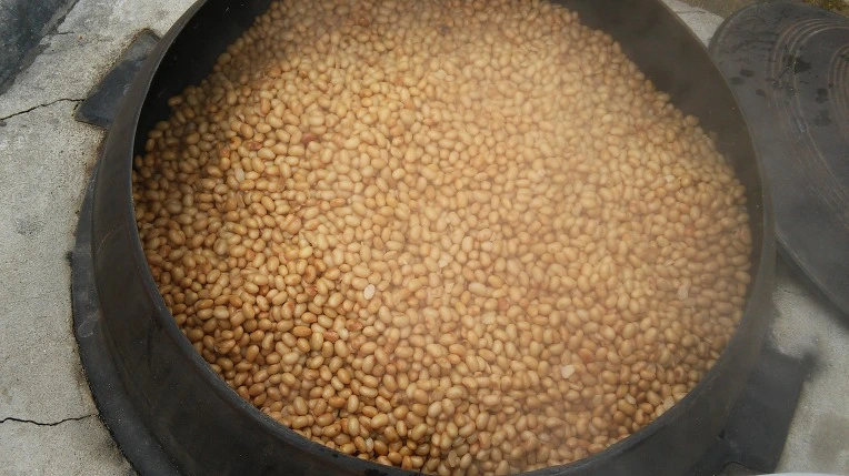 26472F4356C6C27A2F51F1