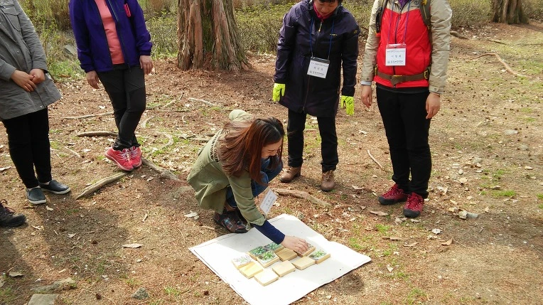 256A6650570965DA1F78D8