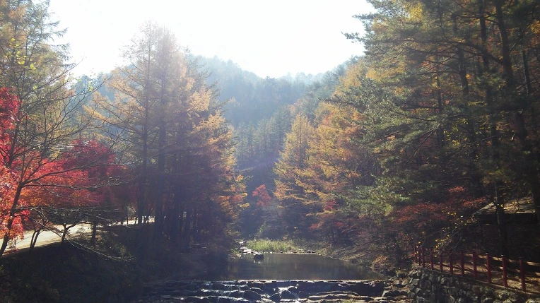 997C24335A0ED10E283D77