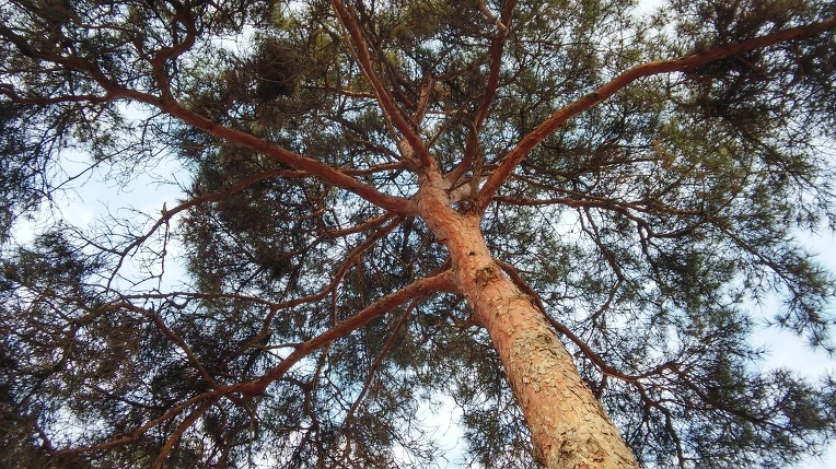 2266854D566DDFBF309209