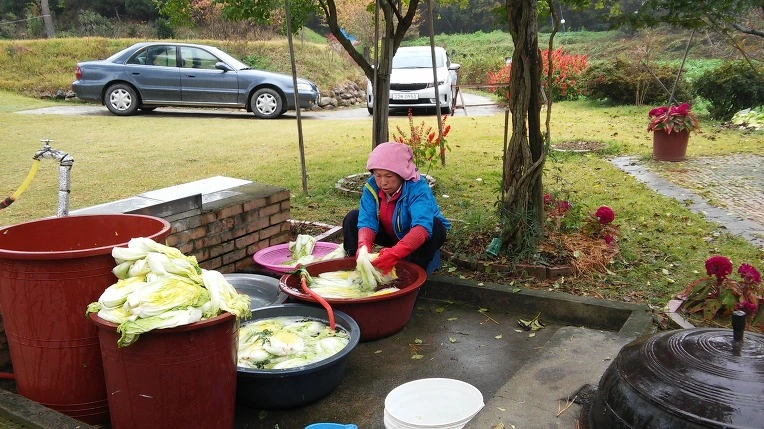 26668A4958217A981B43DA