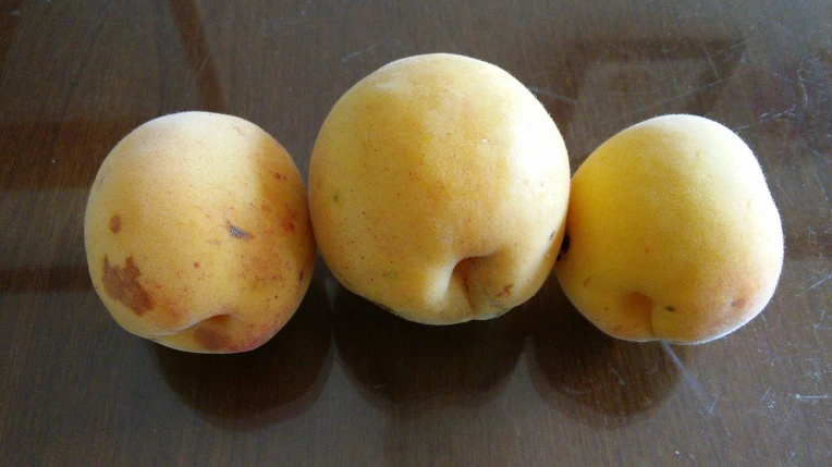 267F004F5771F4722E342A