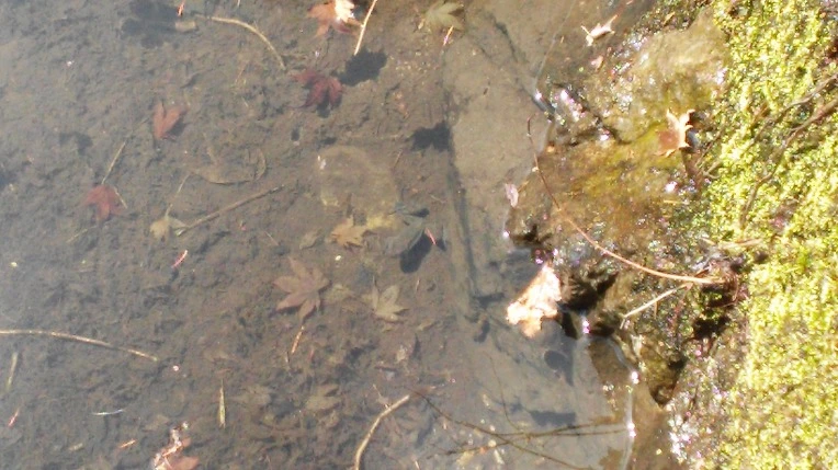 2212103B56F3914705D95B