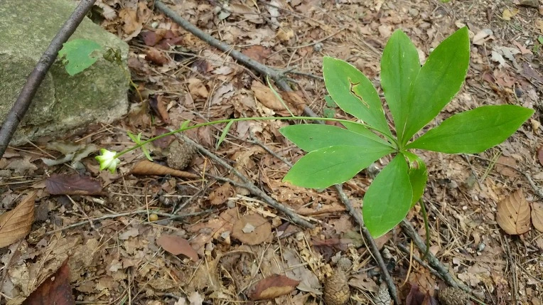 9920B23D5DBE6AD3086EAA