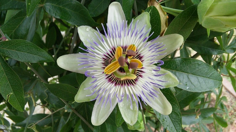 233B5B3F57B90F282952AD