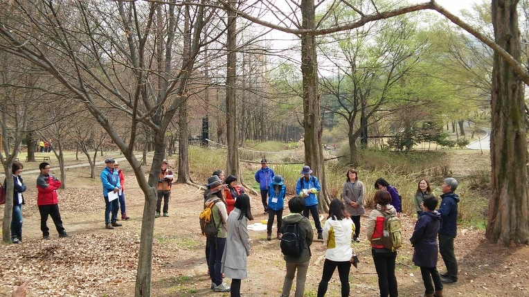 256A3050570965D51F99CA