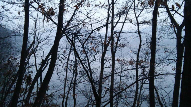 26130B4B5869CD9E1C47D3