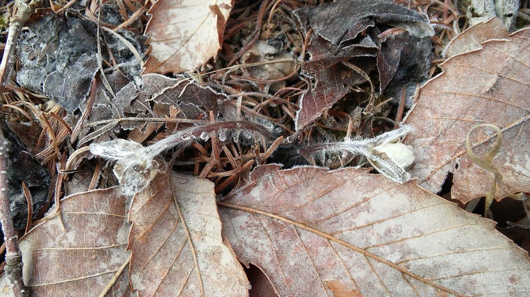 234CC43756F721C6159EF9