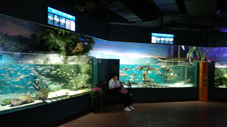 260E653C593C762034B320