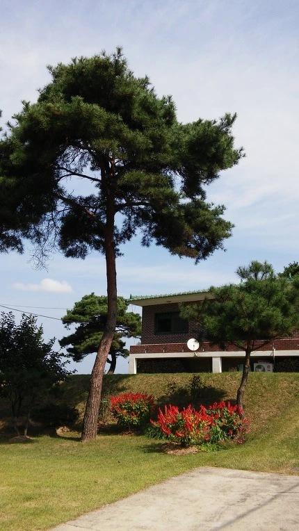 99D8DD3359D5608A0DAE19